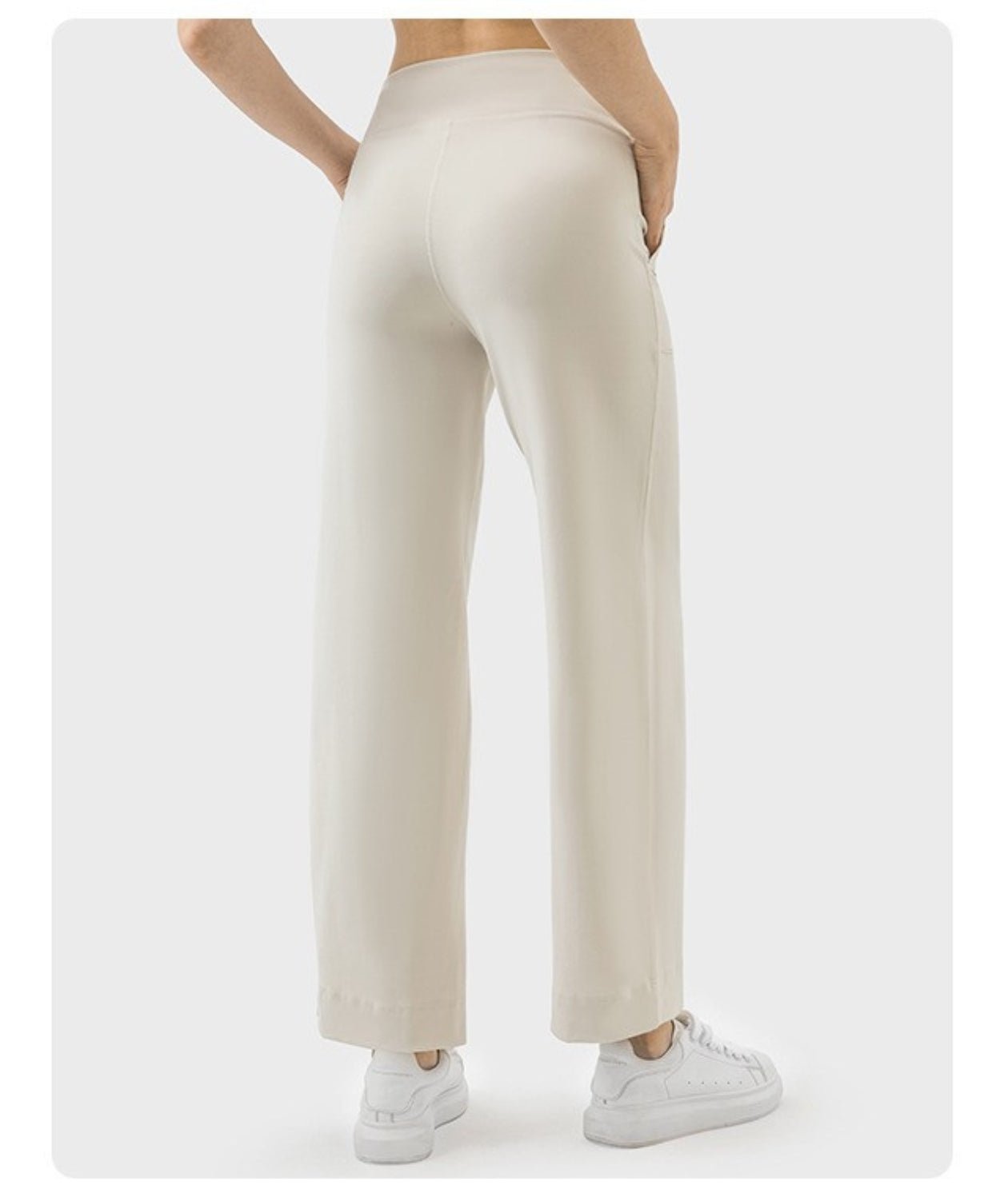 Active Flex Pants - Notorious