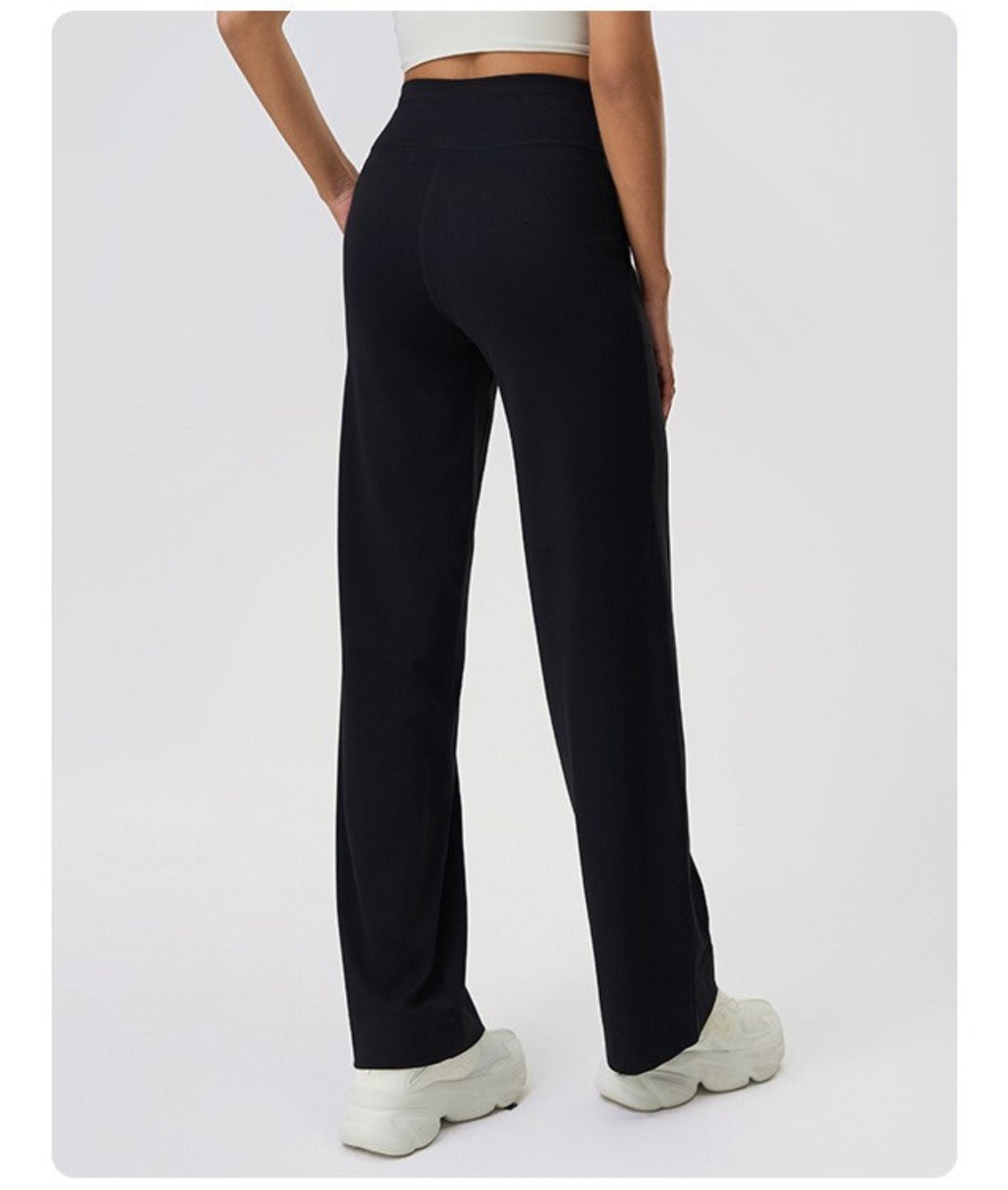 Active Flex Pants - Notorious