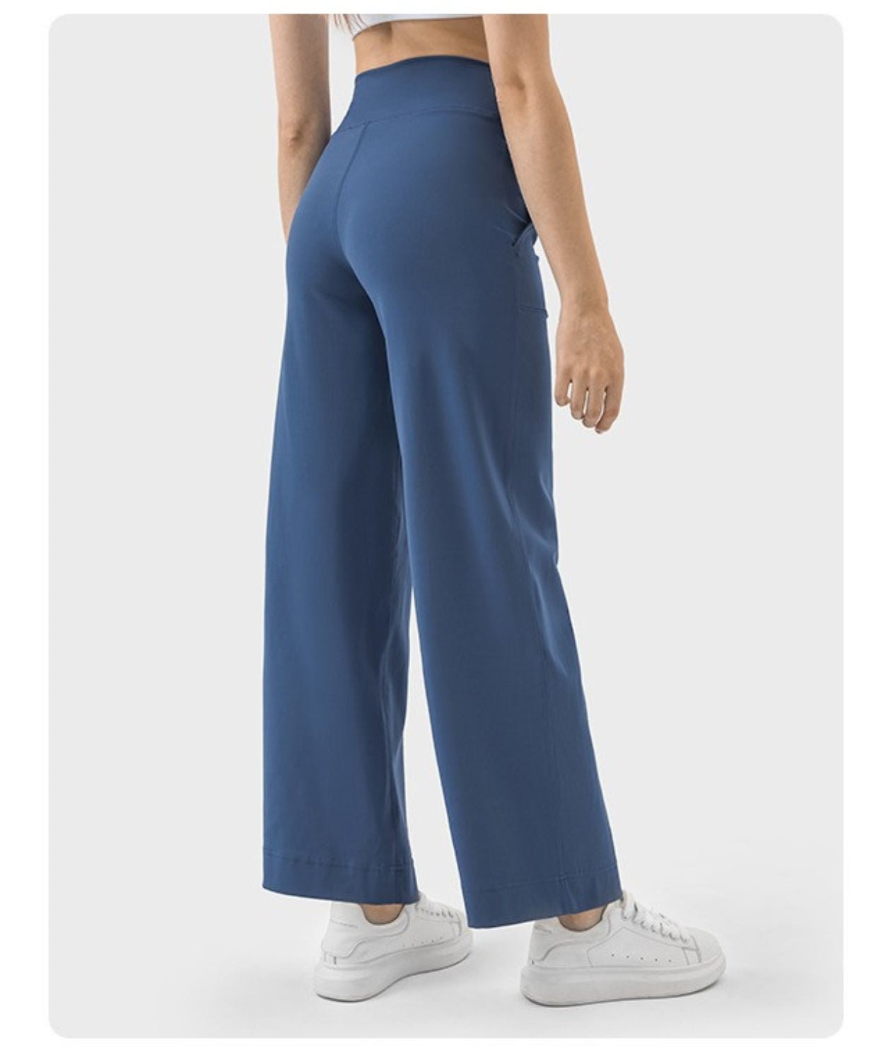 Active Flex Pants - Notorious