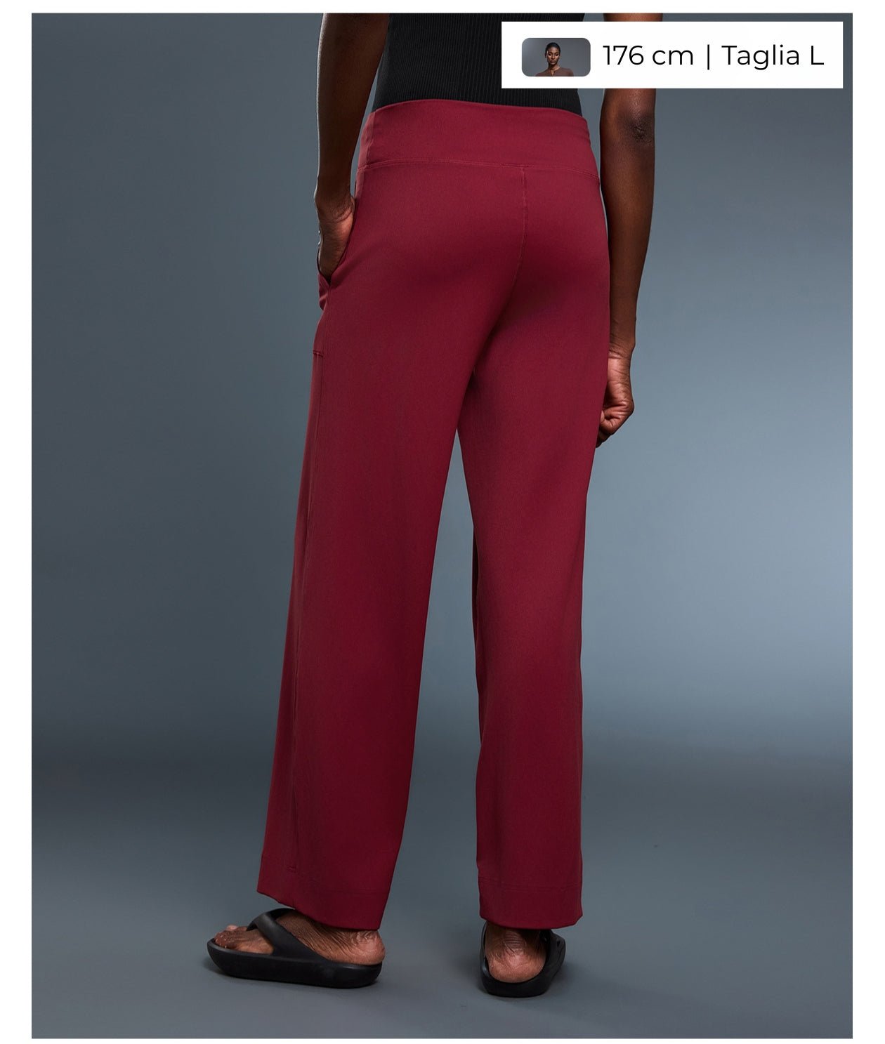 Active Flex Pants - Notorious