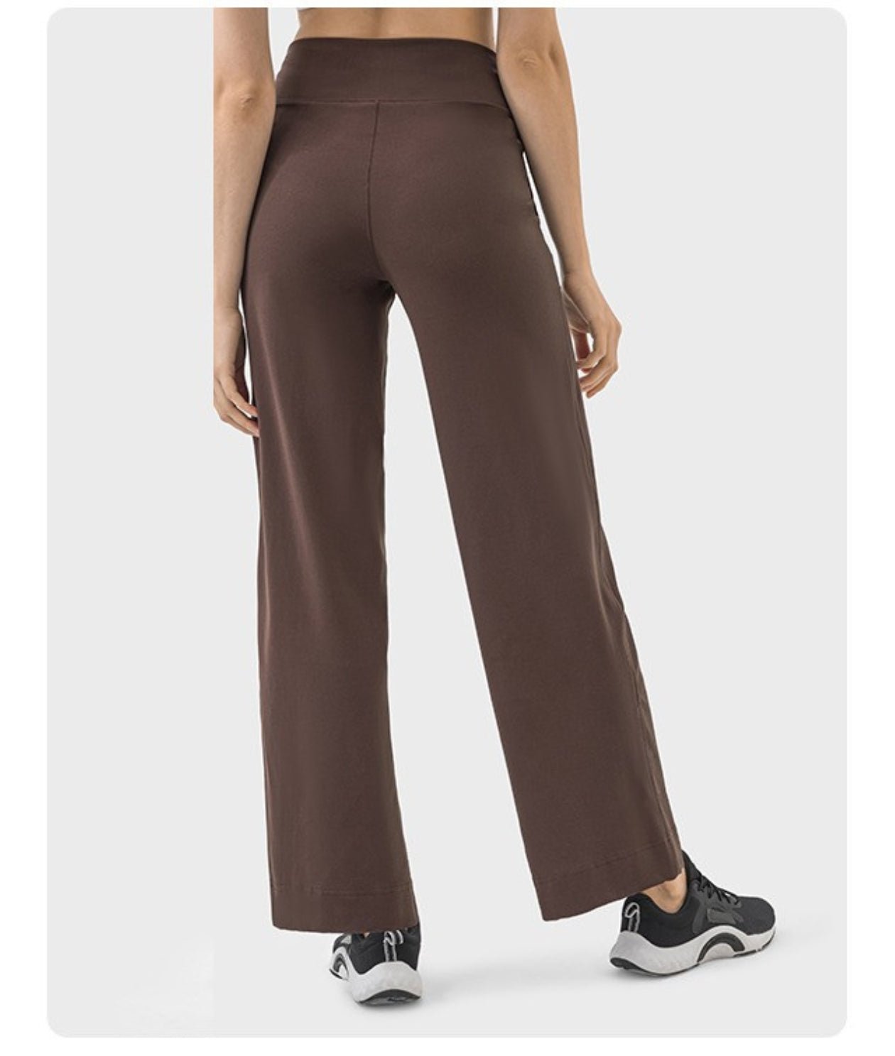 Active Flex Pants - Notorious