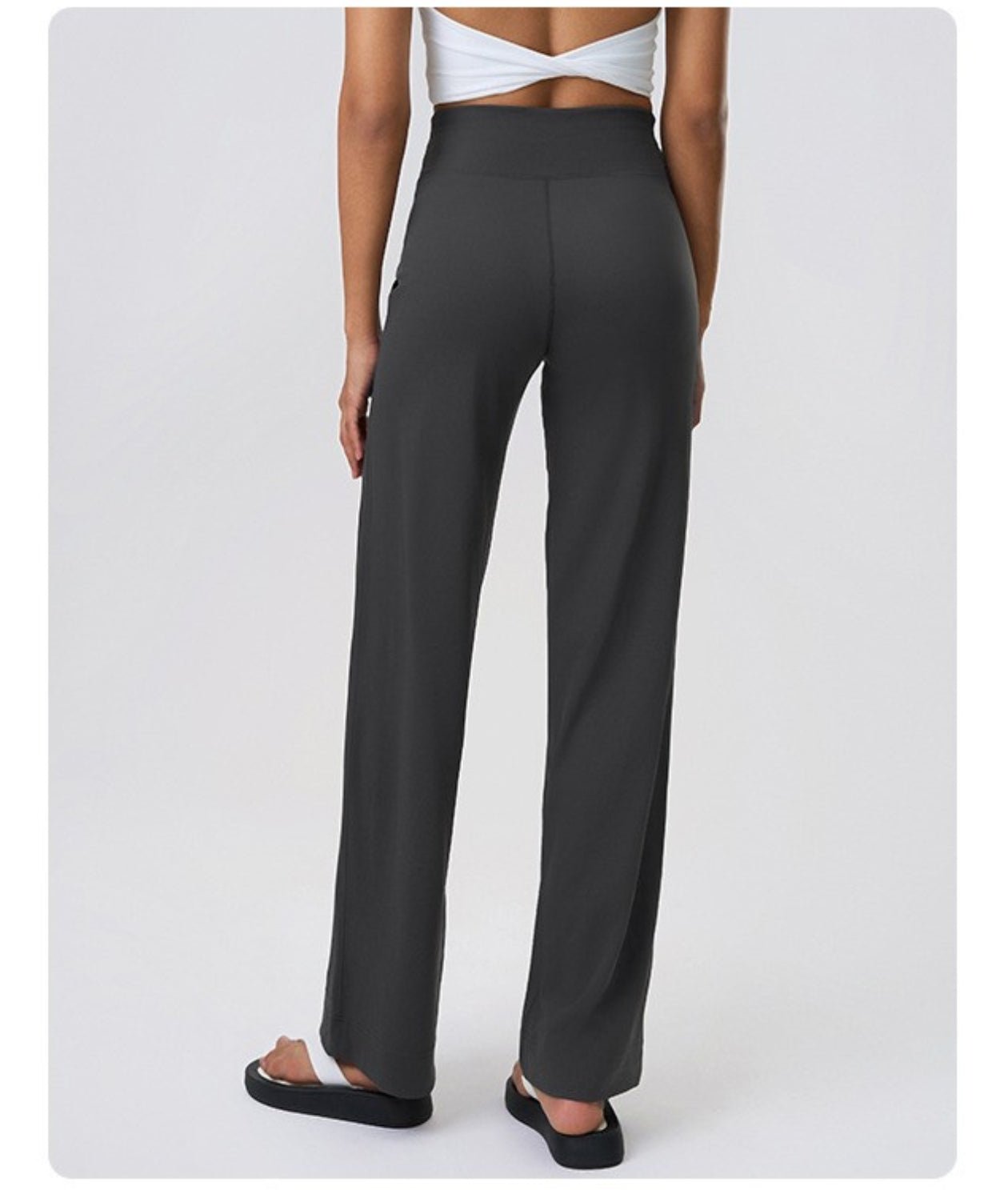 Active Flex Pants - Notorious