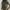 Basic Knit T-Shirt - Notorious (Verde Oliva)