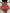 Bloom Skirt - Notorious