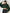 Cropped Sweatshirt - Notorious (Verde Scuro)