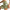 Notorious Dual Skirt – Gonna 2 in 1 - Notorious (Verde)