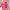 Notorious Dual Skirt – Gonna 2 in 1 - Notorious (Rose Red)