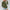 Pocket Sweatshirt - Notorious (Verde Militare)