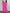 Royal Pants - Pantaloni Palazzo a Vita Media - Notorious