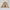 Trendy Oversize Jacket - Notorious (Khaki)