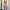 Velaria Dress - Notorious
